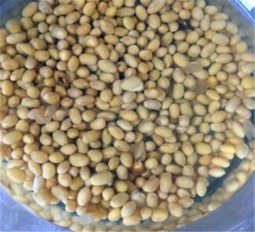 白醋点豆腐的做法窍门