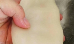 鱿鱼怎么做好吃