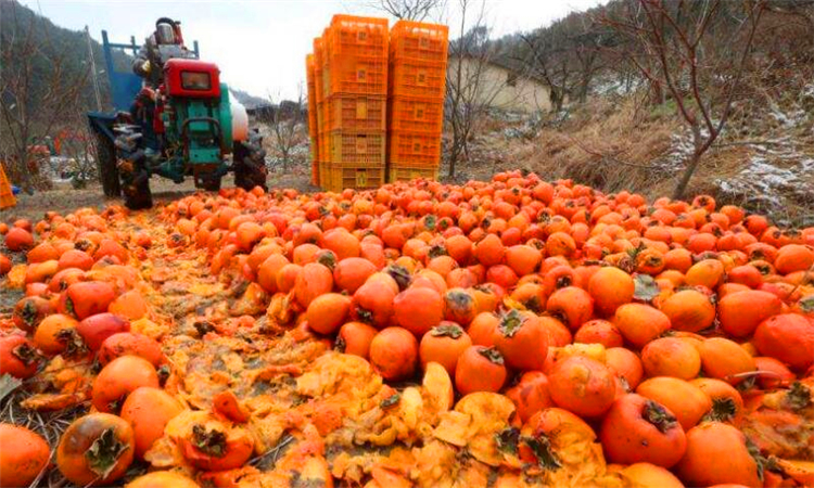 滞销是什么意思
