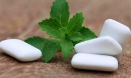 口香糖是什么做的