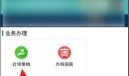 石家庄居民医保缴费怎样网上缴费