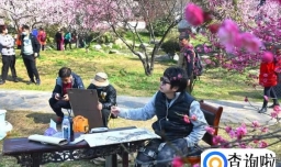 东湖小梅岭梅花开了吗