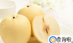 正宗川贝雪梨水的做法