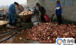 红薯粉条的制作过程