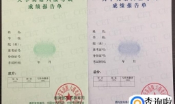 英语四六级成绩单版式（2013年12月-2014年）