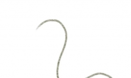 简笔画仙鹤的方法