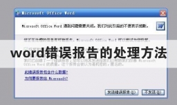 word错误报告的处理方法