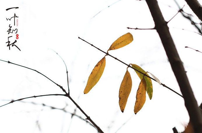 见微知著的著是什么意思