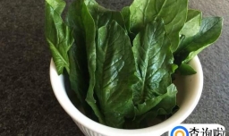 鲜榨菠菜汁的做法