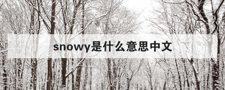 snowy是什么意思中文