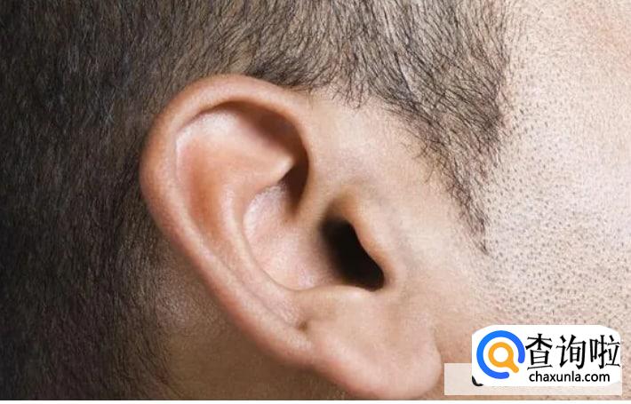 补肾壮阳多按摩6个部位