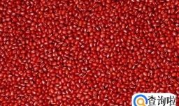 红豆西米粽子的做法