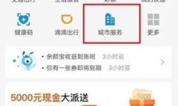怎么查询失业保险金领取记录