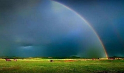 有人说，艾滋病患者在高校里越来越多，这是为什么？