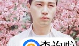 寸头有哪几种？