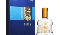 兼香型白酒有哪些