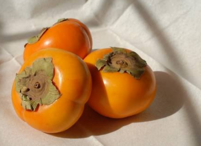 吃柿子有什么好处