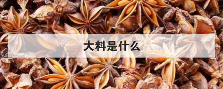 大料是什么