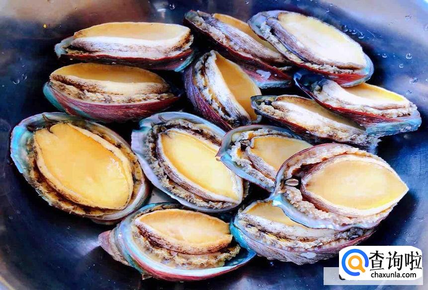 鲍鱼是不是越大越好