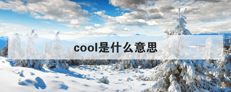 cool是什么意思