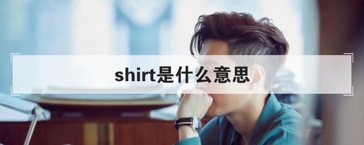 shirt是什么意思