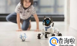 2018有哪四大赚钱项目