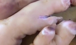 怎样做又软又糯的红烧猪蹄