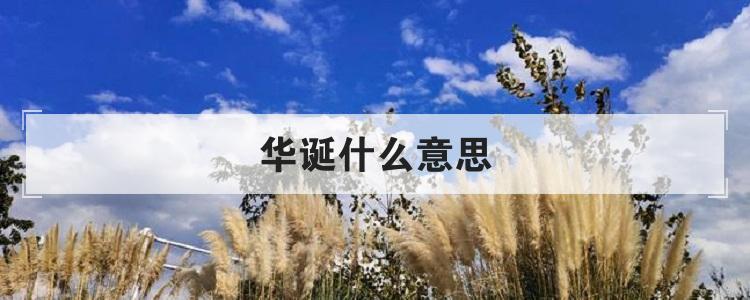 华诞什么意思