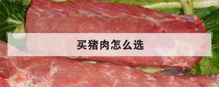 买猪肉怎么选