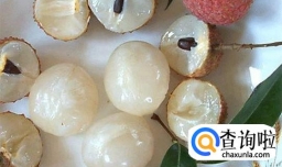 荔枝糖水罐头的做法