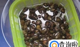 怎样炒田螺好吃