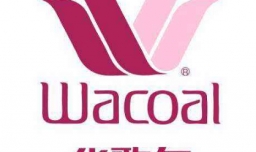 女士内衣品牌排行榜前十名