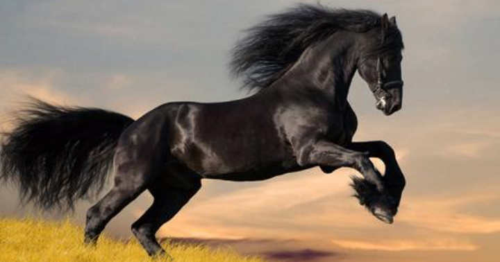 擅长画马的画家有哪些