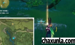 《原神》聪明向智的未来星在哪里