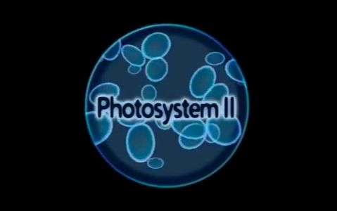 system是什么意思