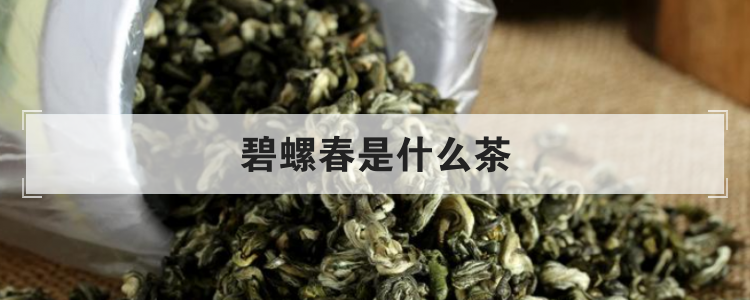 碧螺春是什么茶