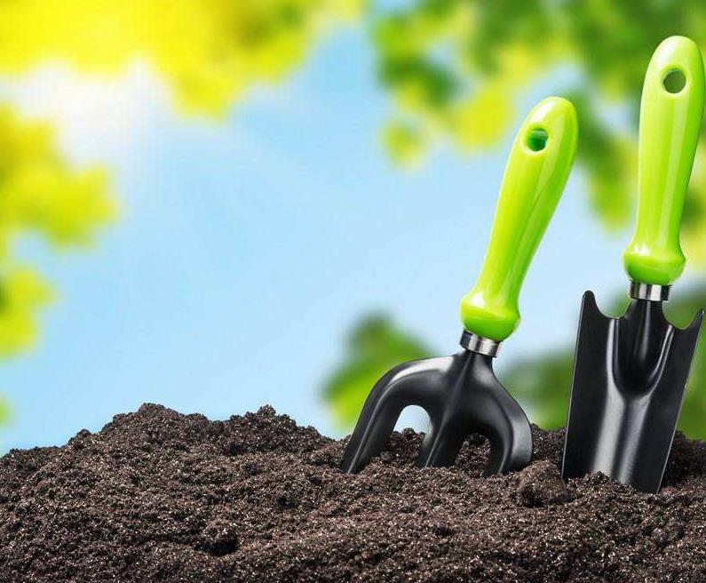 土壤分为哪几层