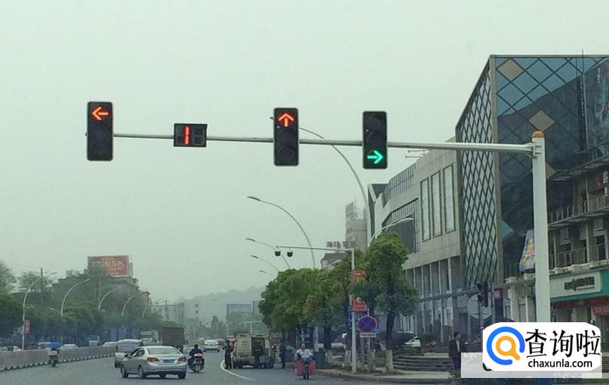 带箭头的红灯绿灯同时亮怎么走