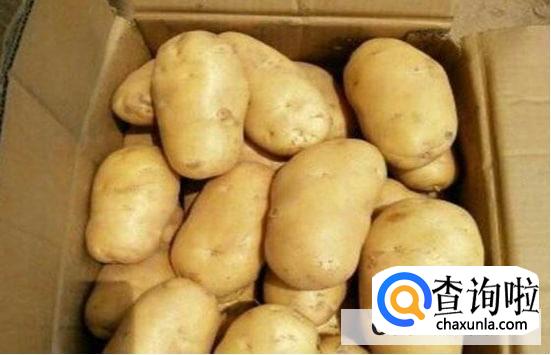 士豆保存方法最好的