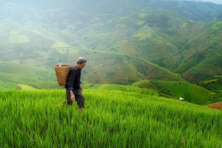 我国精耕细作农业存在于哪些王朝