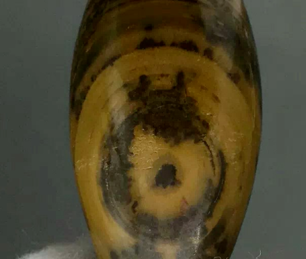 天珠是人工的还是天然的