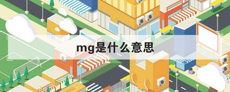 mg是什么意思