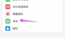 苹果手机电池容量怎么看