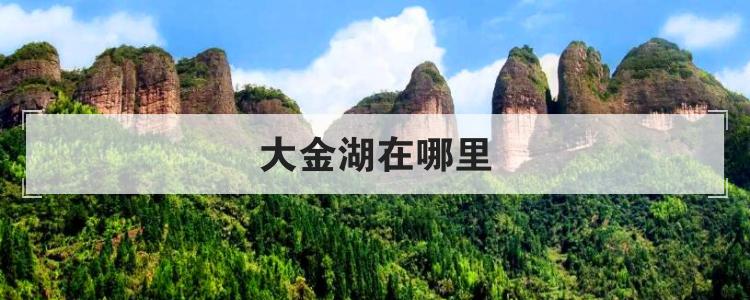 大金湖在哪里