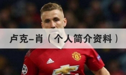 卢克-肖（个人简介资料）