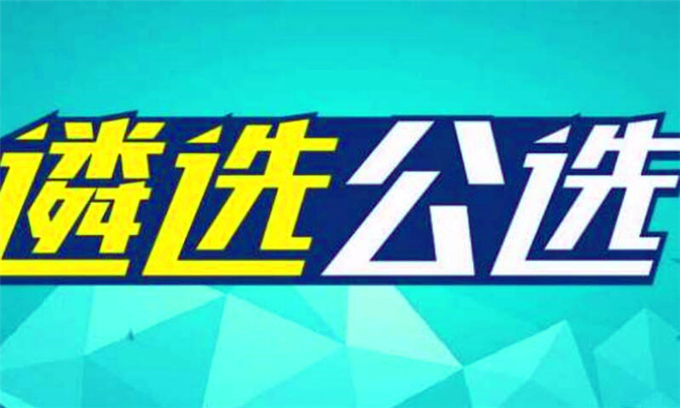遴选是什么意思