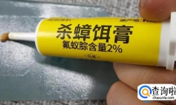 蟑螂吃了胶饵会立刻死去吗