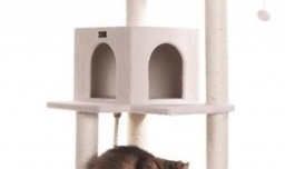 怎样避免猫咪抓沙发