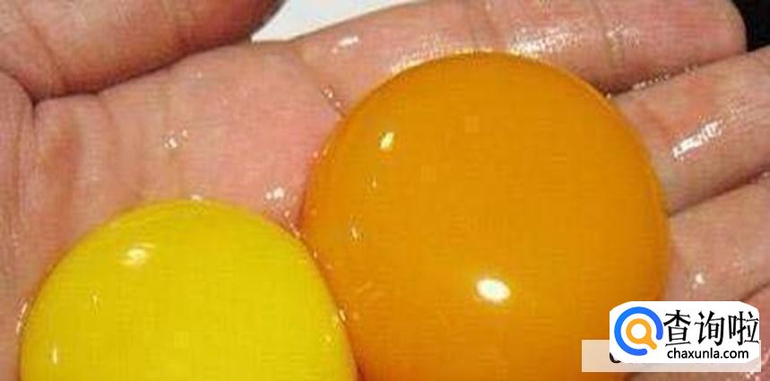 假鸡蛋是否存在