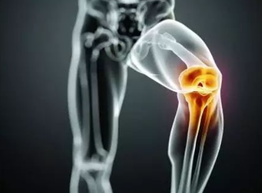 还能长高的膝盖骨特征